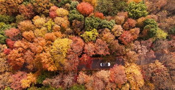 大自然的 調色盤