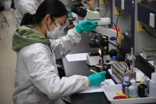 第九屆達承杯醫學檢驗技術專業本科生技能大賽圓滿落幕，技術研發成果顯著