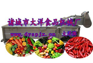 全方位解析蔬菜加工設(shè)備 葉子菜清洗機(jī)價(jià)格、廠家與選購指南